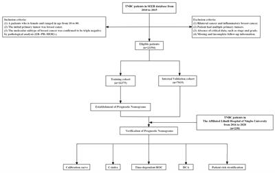 Triple-negative breast cancer survival prediction: population-based research using the SEER database and an external validation cohort